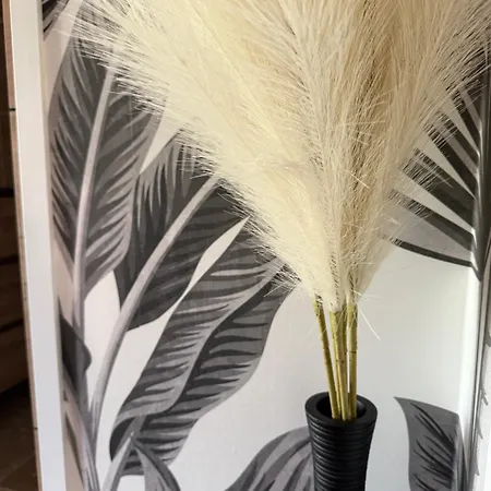 Mapur Lège-Cap-Ferret