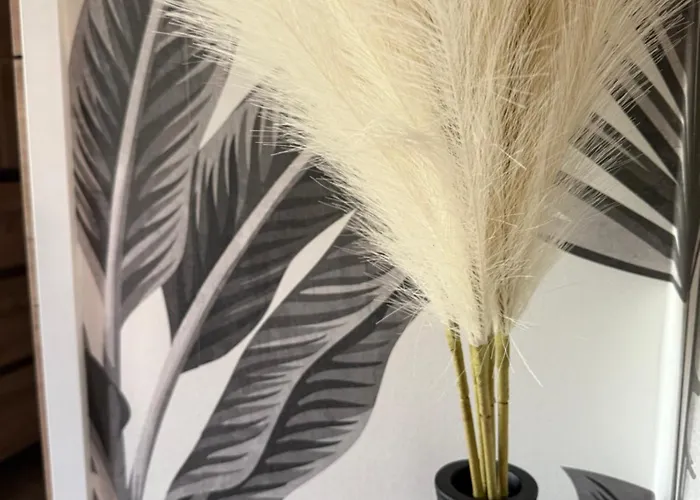 Mapur Lège-Cap-Ferret